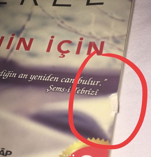 Arda Erel - Senin İçin